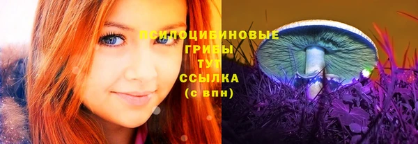 таблы Каменногорск