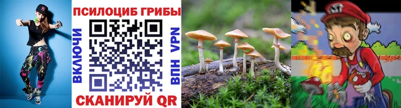 Купить закладки  Дубна  Псилоцибиновые грибы мухоморы 